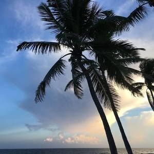 Meet your Posher, Eileen